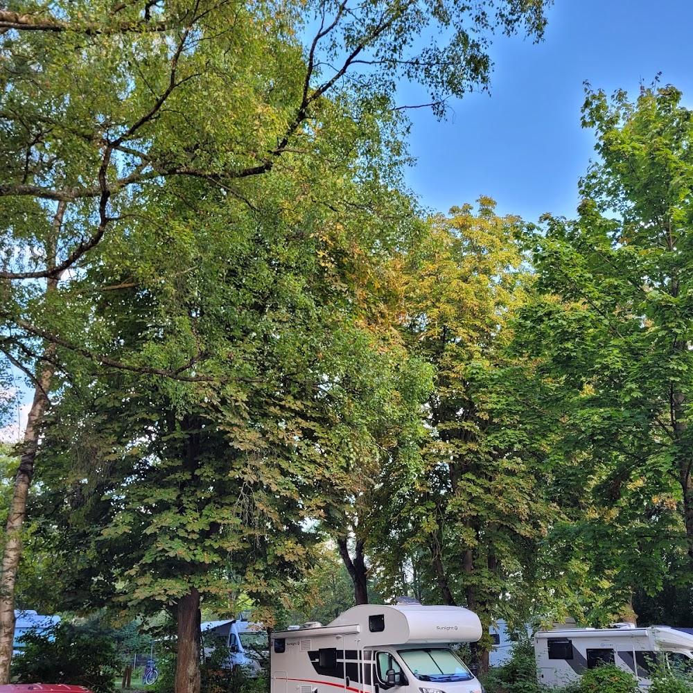 White camper van parked in a forest.